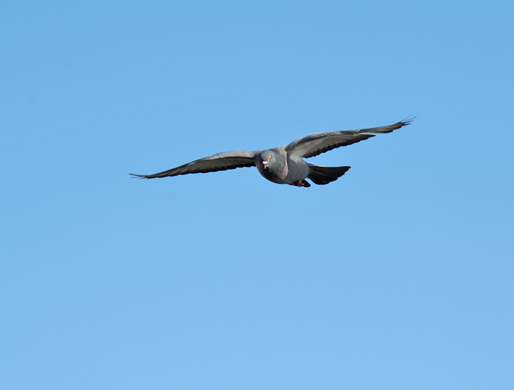 DSC_4039.jpg