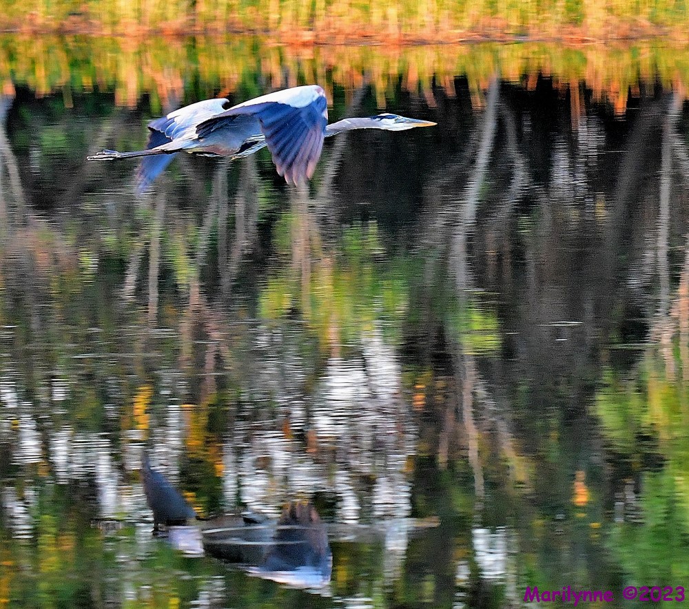 DSC_4039_001.JPG