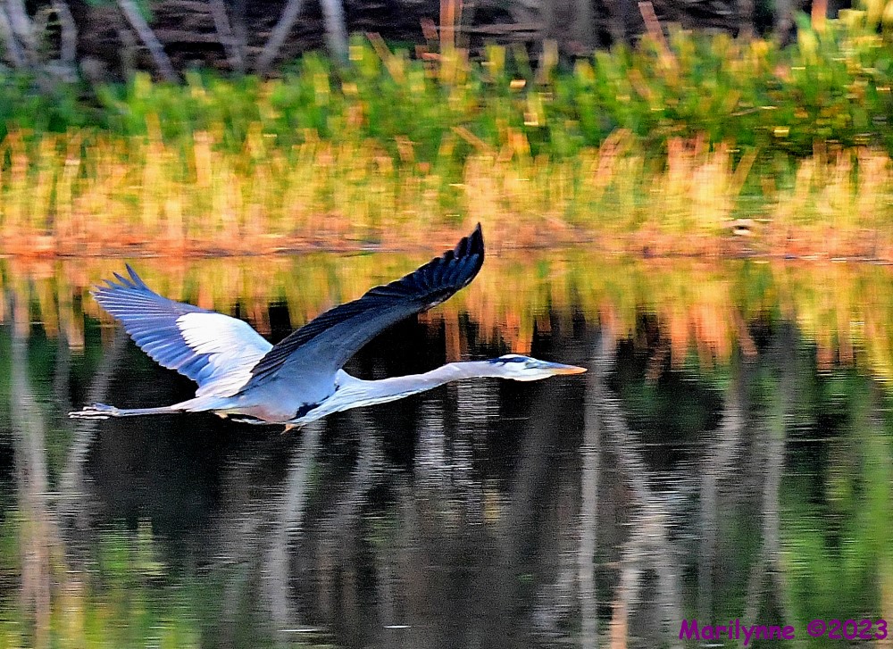 DSC_4040_001.JPG