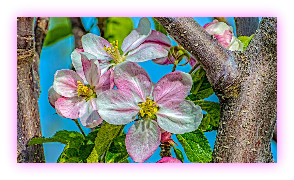 DSC_4041-Edit.jpg