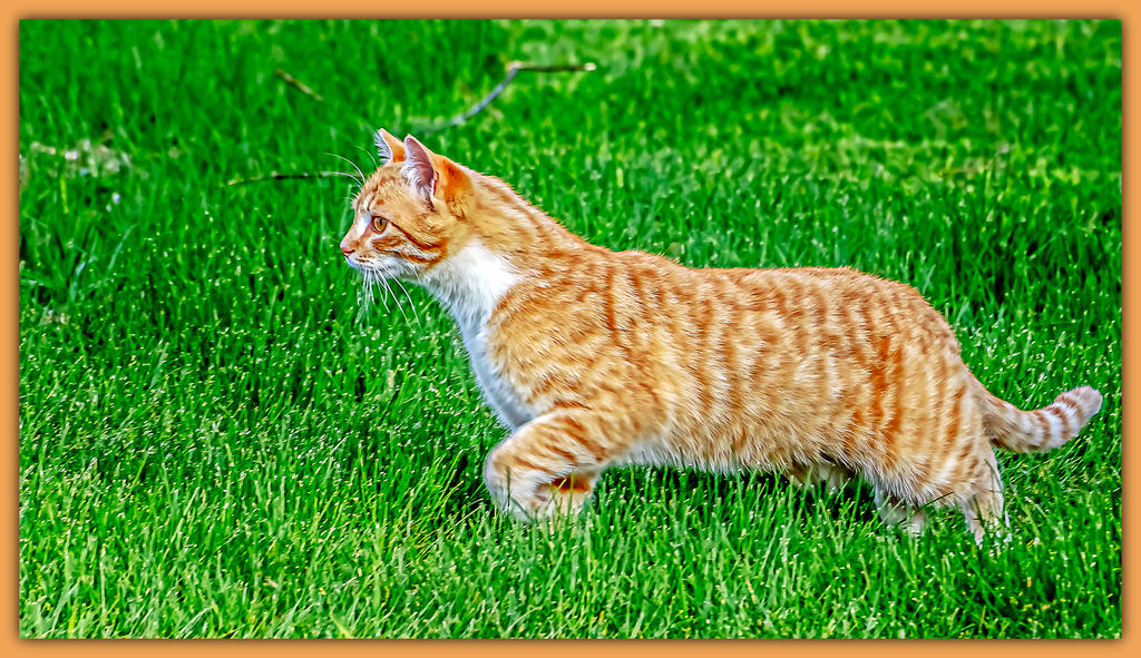 DSC_4044-Edit.jpg