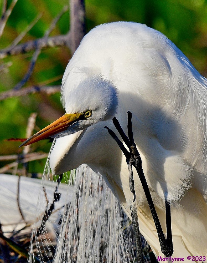 DSC_4047_001.JPG