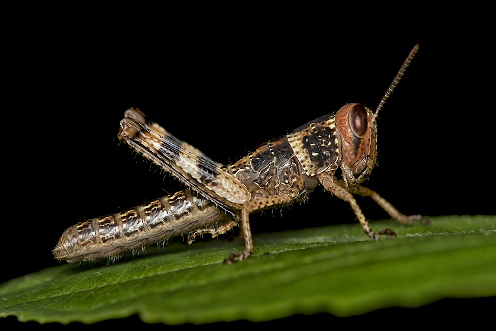 DSC_4049.jpg