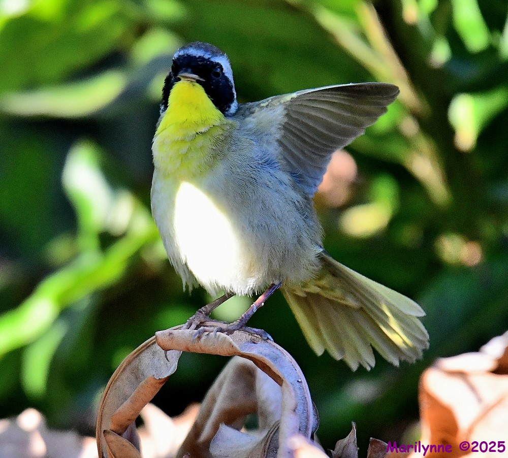 DSC_4050_001.JPG