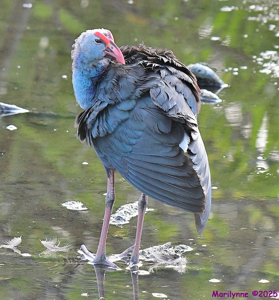 DSC_4050_001.JPG
