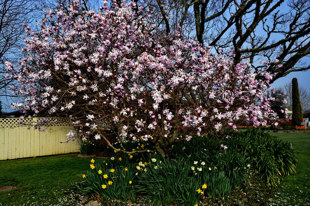 DSC_4051.jpg