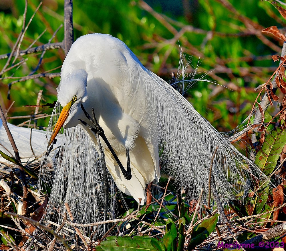 DSC_4051_001.JPG