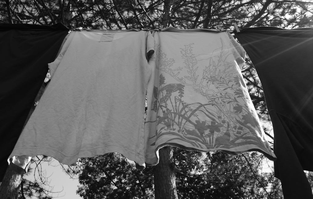 DSC_4053 - copie.jpg