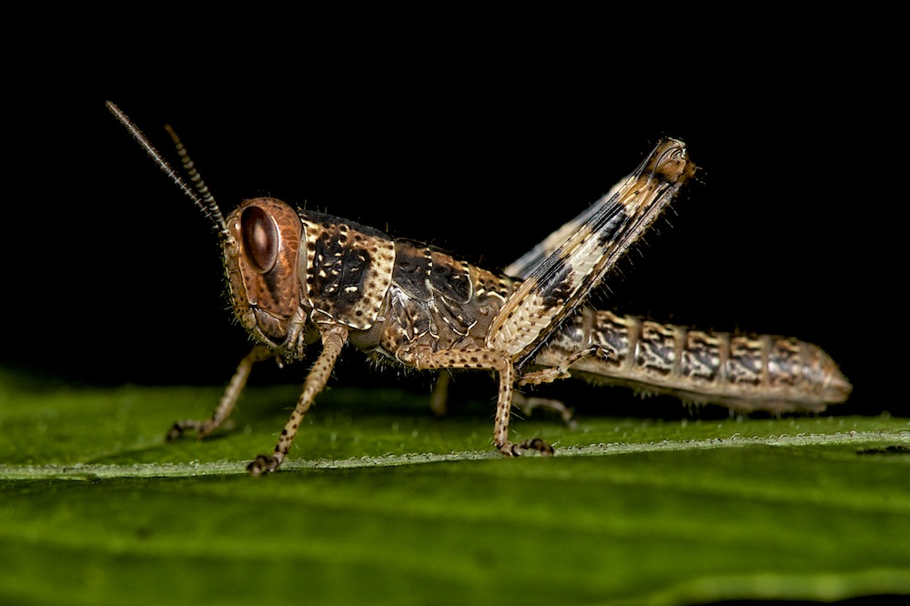 DSC_4053.jpg
