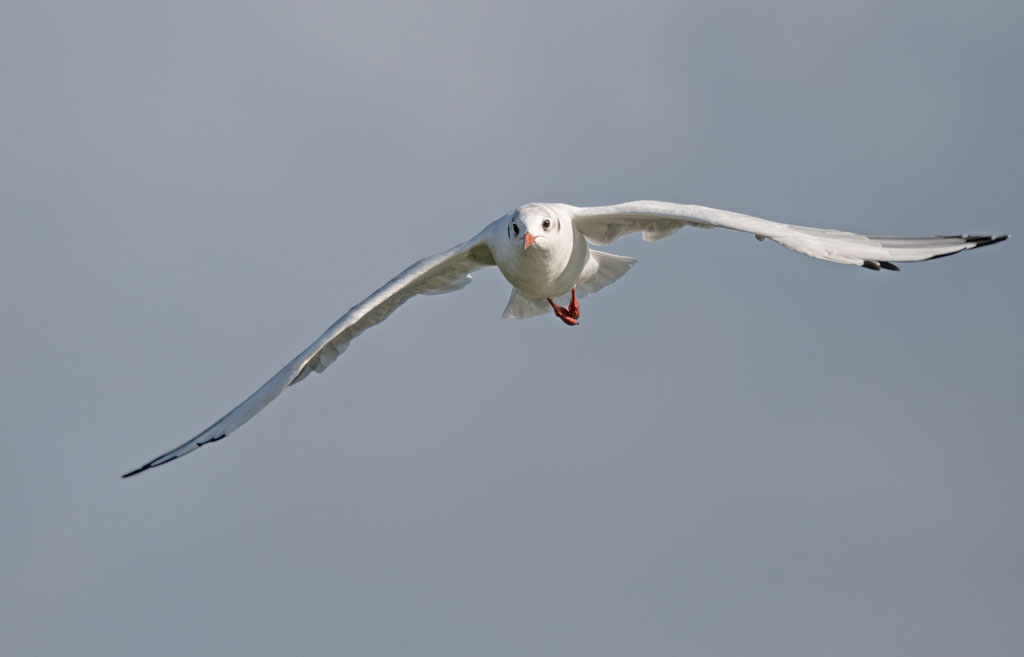DSC_4055.jpg