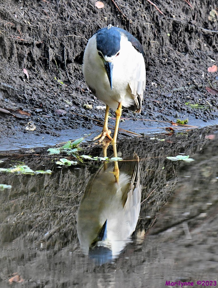 DSC_4056_stitch4_001.JPG