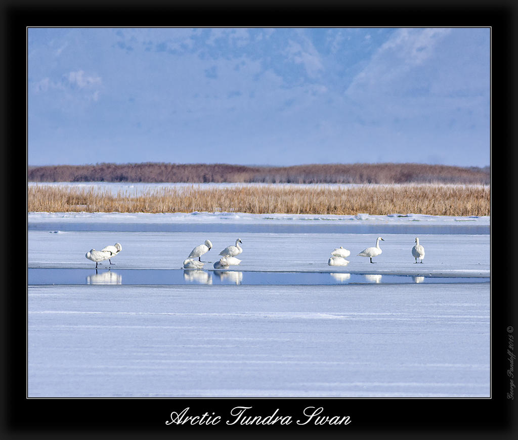 DSC_4057.jpg