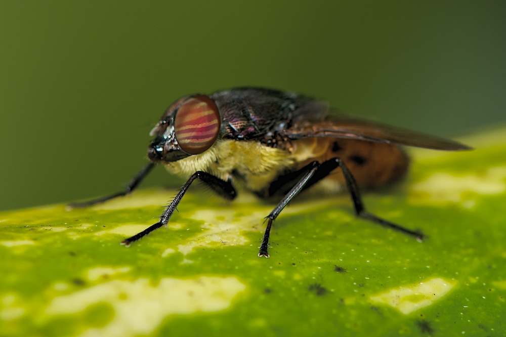 DSC_4057.jpg