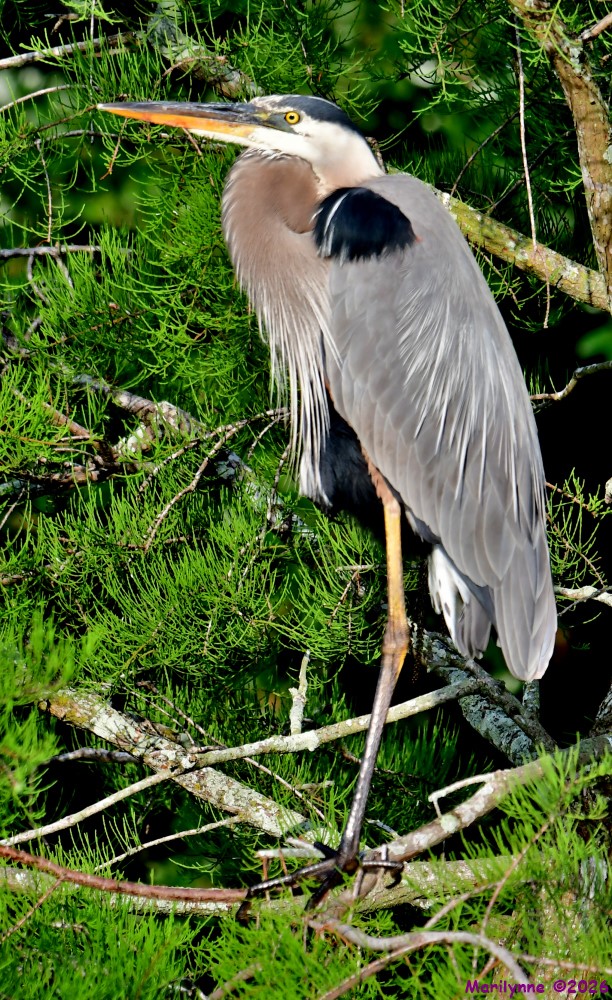 DSC_4057_001.JPG