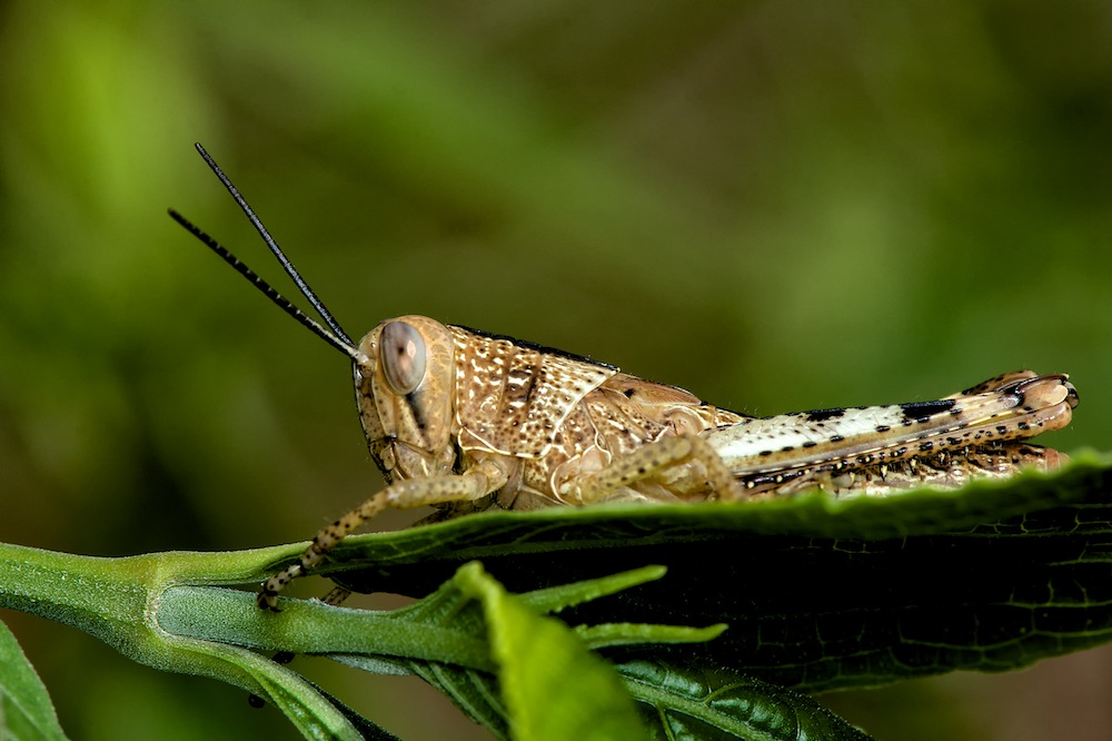 DSC_4061.jpg