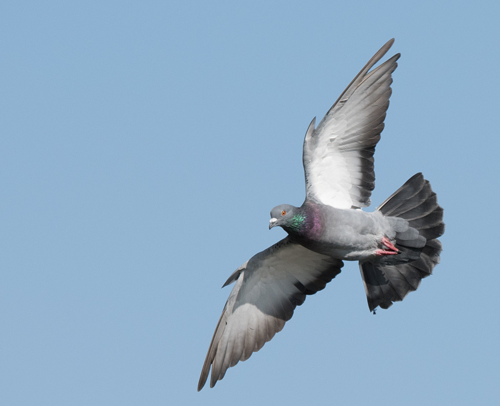 DSC_4062.jpg