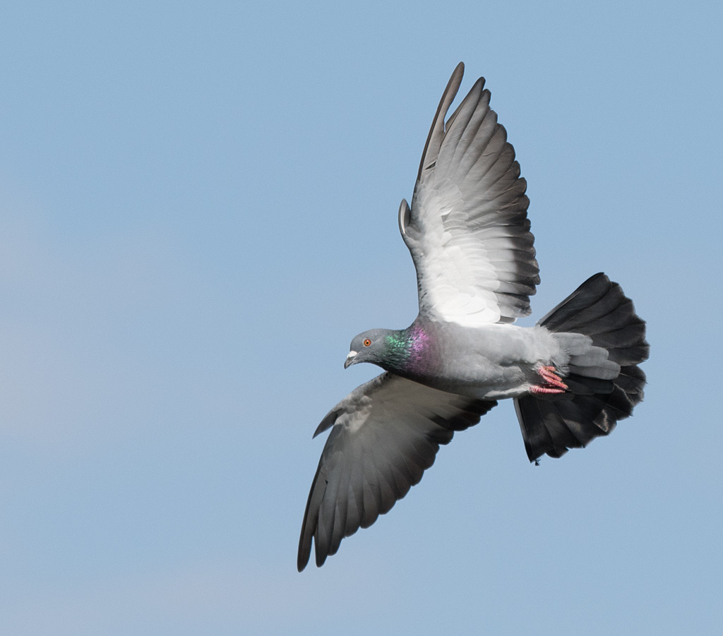 DSC_4063.jpg
