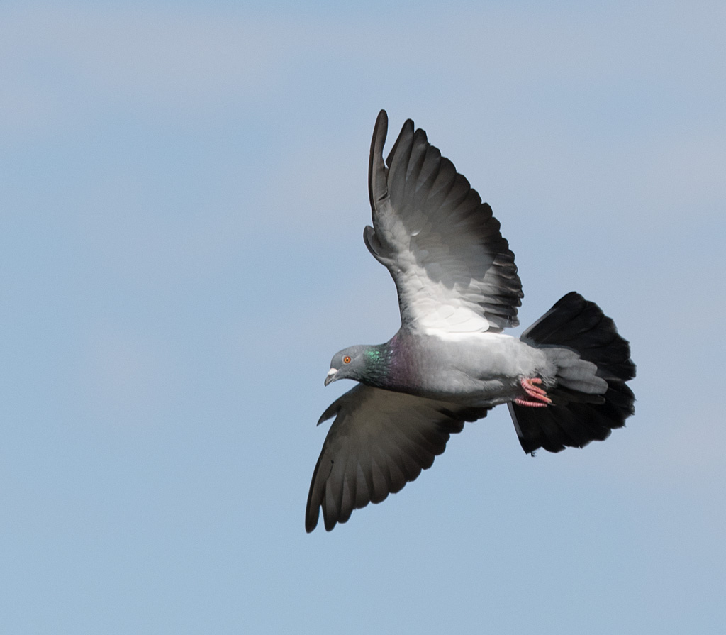 DSC_4064.jpg