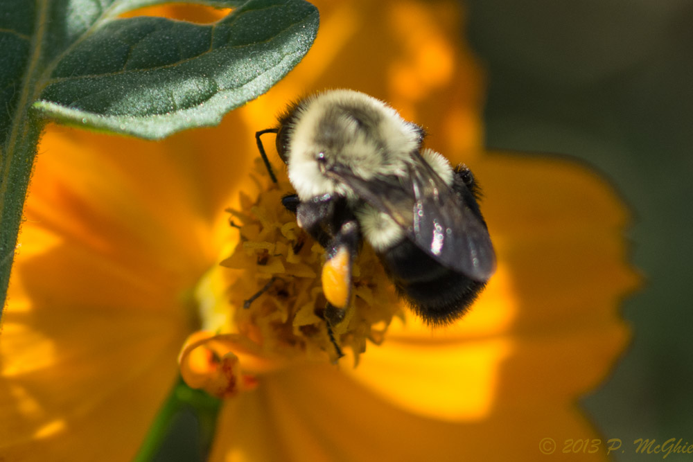 DSC_4074.jpg