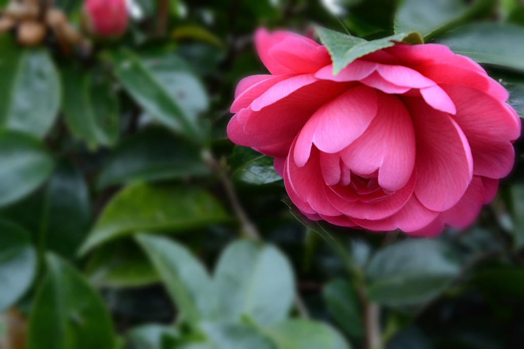 DSC_4076.jpg