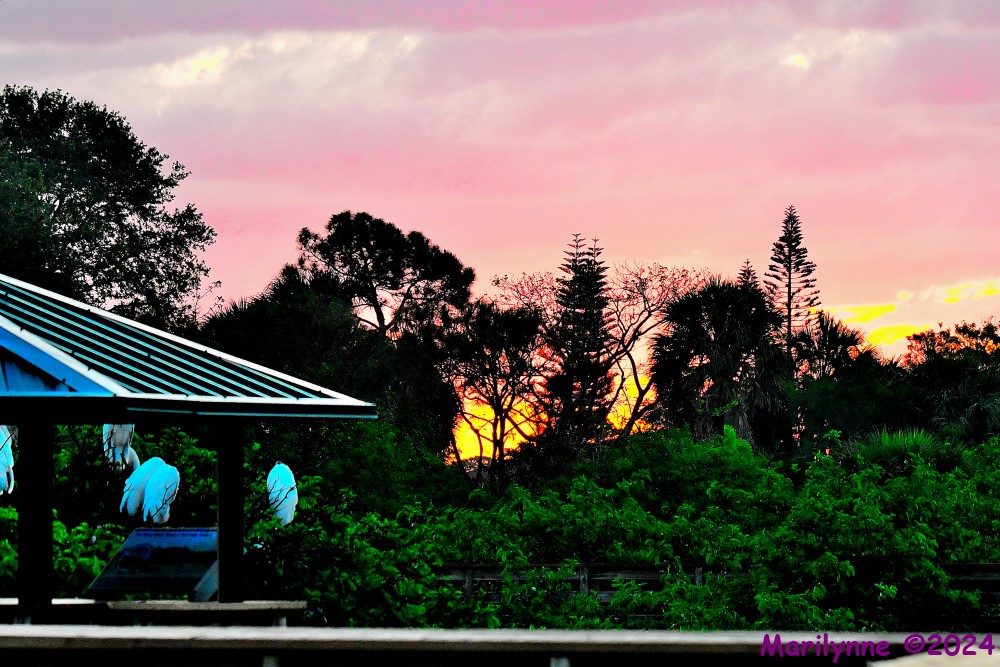 DSC_4078_001.JPG