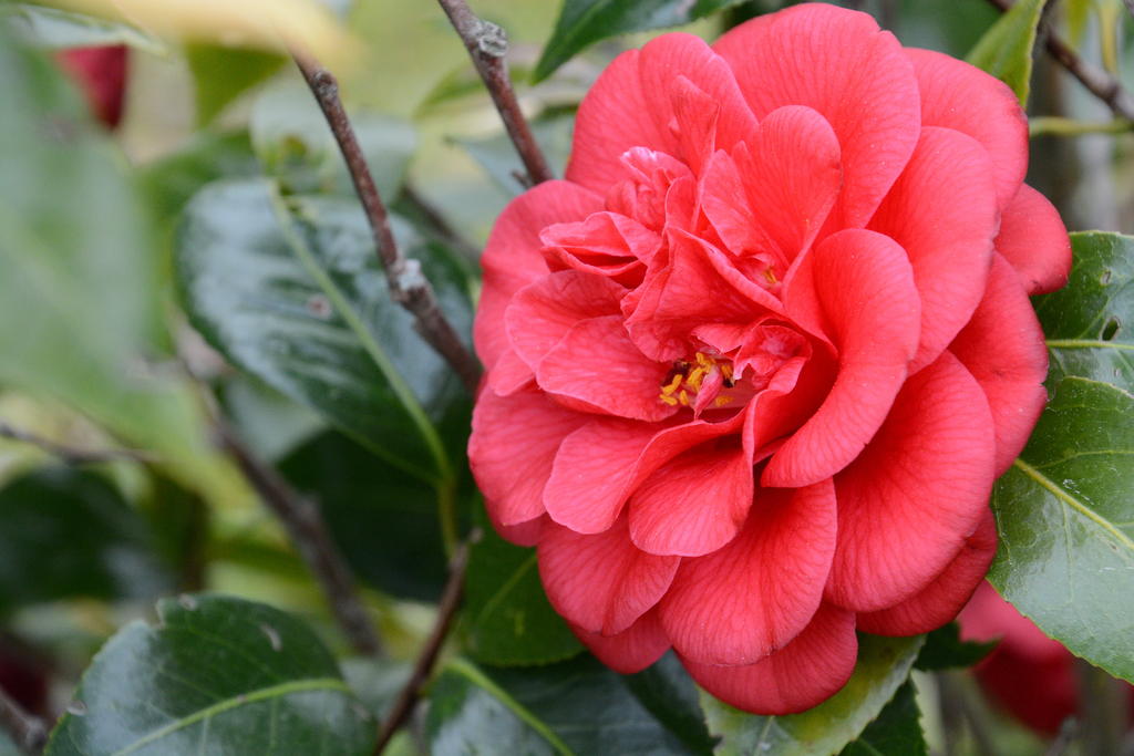 DSC_4079.jpg