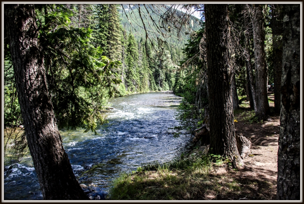 DSC_4080.jpg