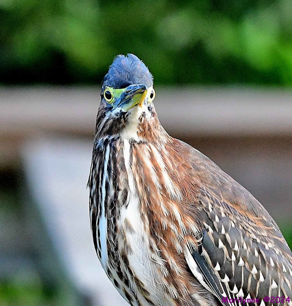 DSC_4080_001.JPG