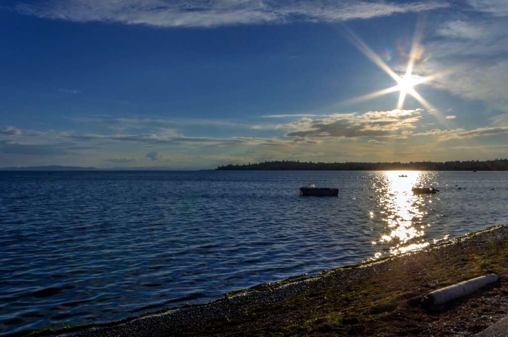 DSC_4096.jpg