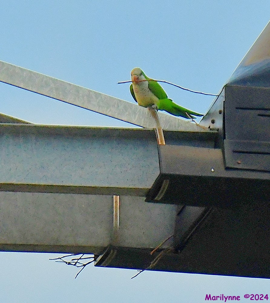 DSC_4096_001.JPG