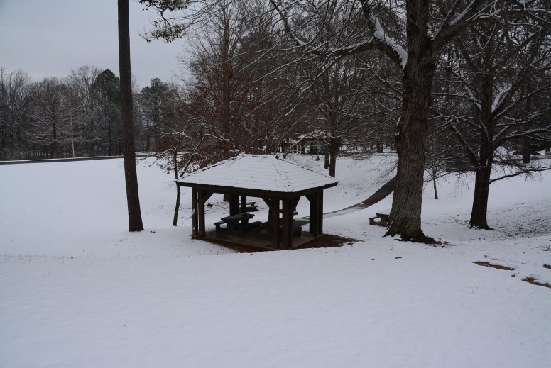 DSC_4098.JPG