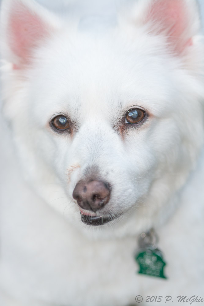 DSC_4099.jpg