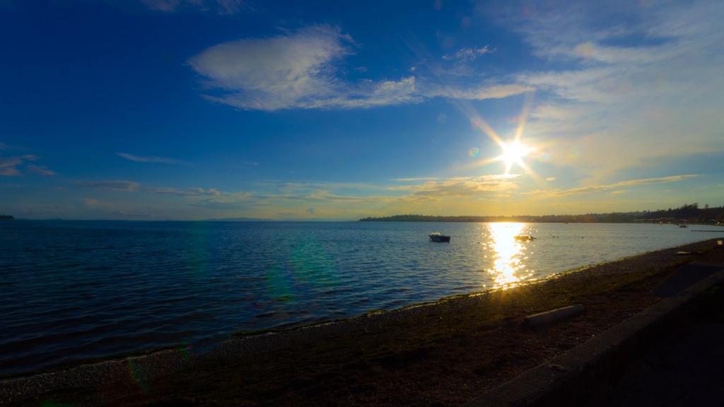 DSC_4102.jpg