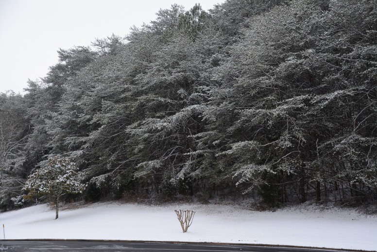 DSC_4102.JPG