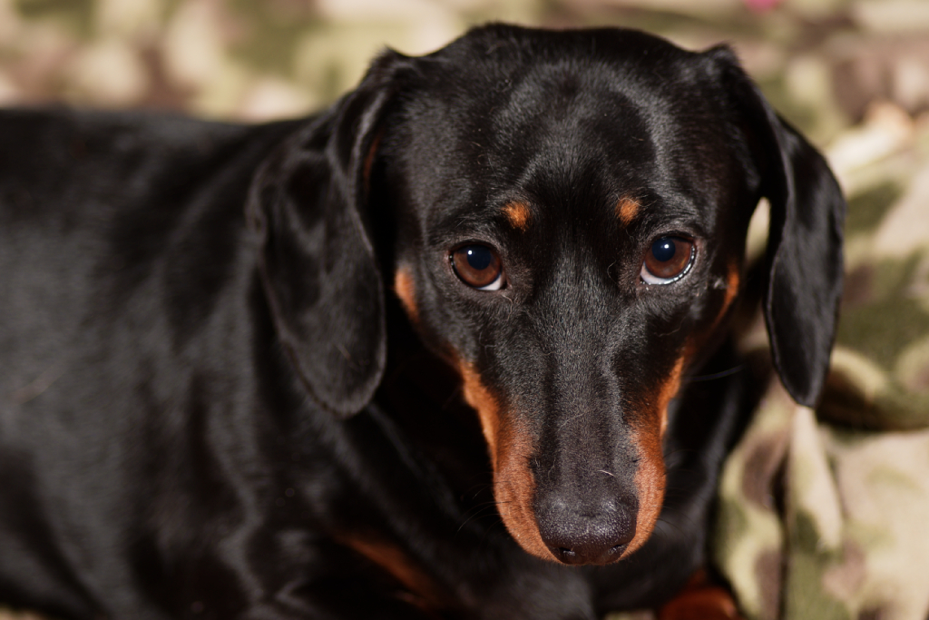 DSC_4103_DxO.jpg