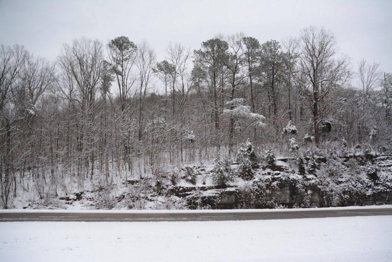 DSC_4104.JPG
