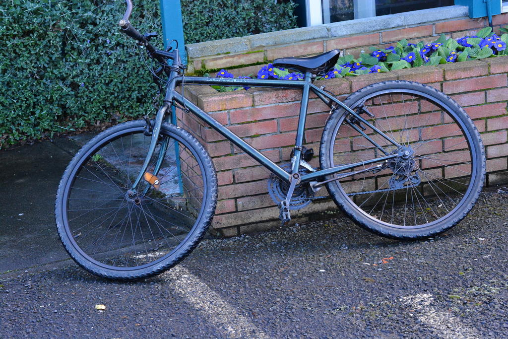 DSC_4121.jpg