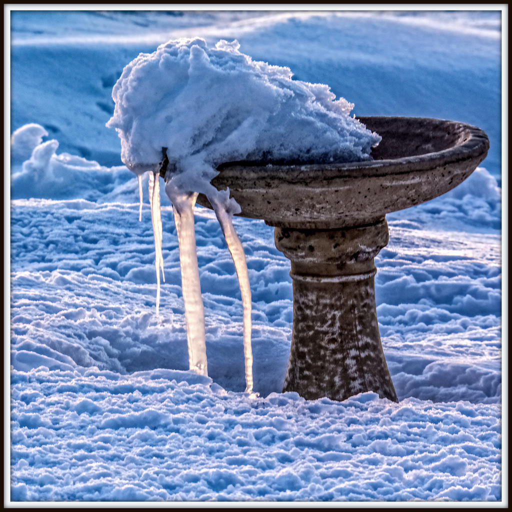 DSC_4124-Edit-Edit.jpg