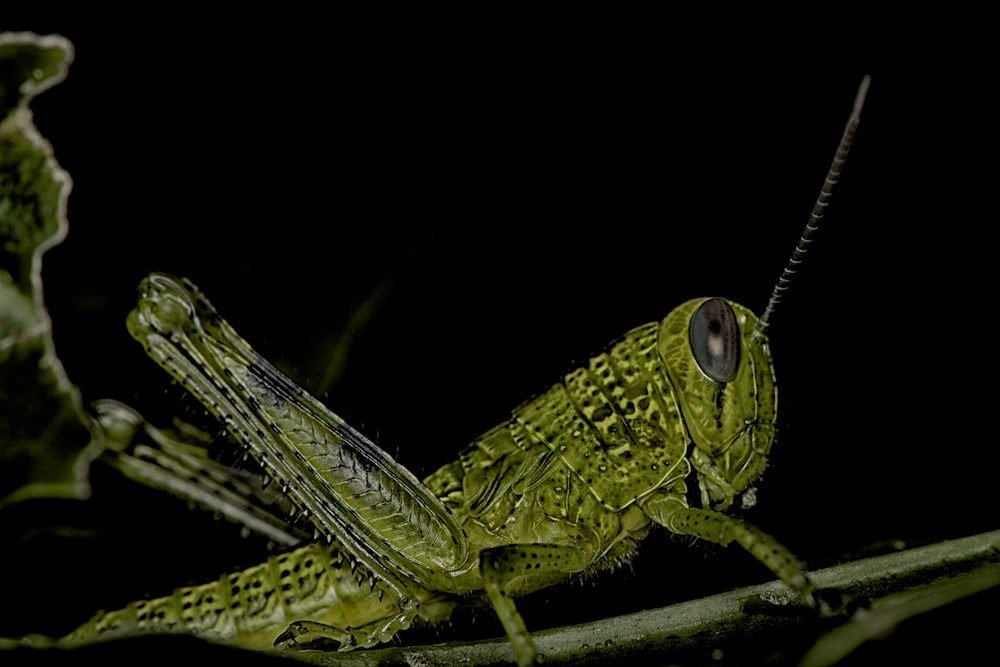 DSC_4128.jpg