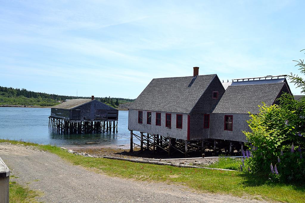 DSC_4128.jpg