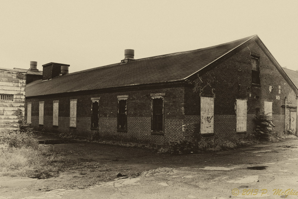 DSC_4133-Edit.jpg