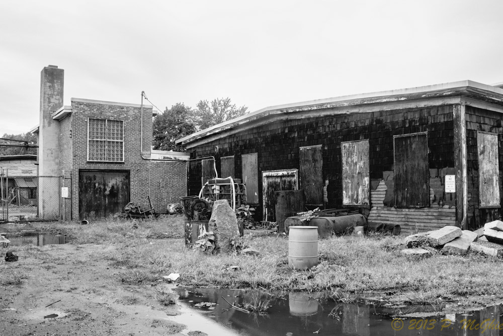 DSC_4134-Edit.jpg