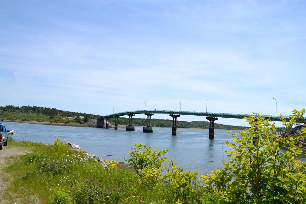 DSC_4136.jpg