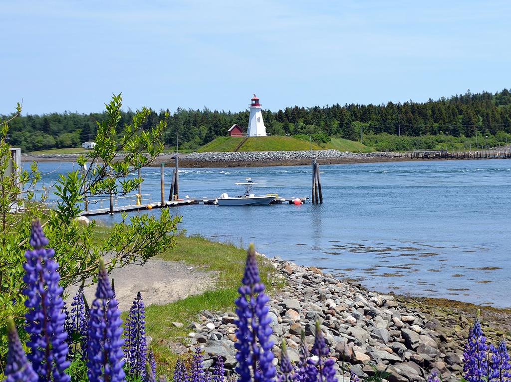 DSC_4141.jpg