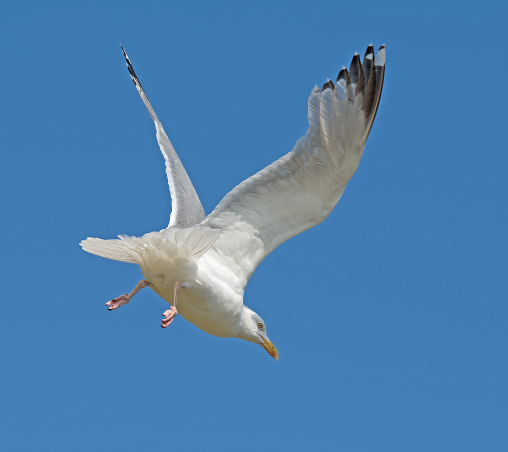 DSC_4142.jpg