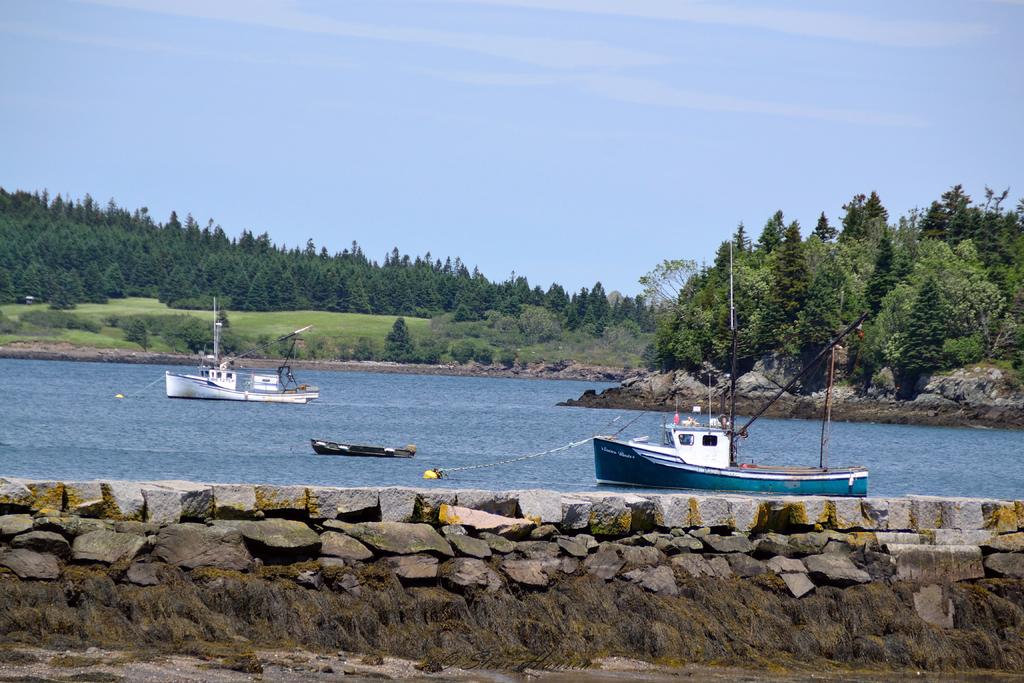 DSC_4146.jpg