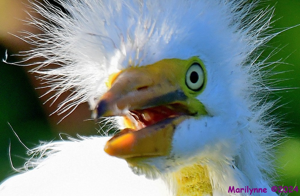 DSC_4147_001.JPG
