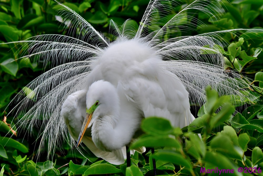 DSC_4149_001.JPG