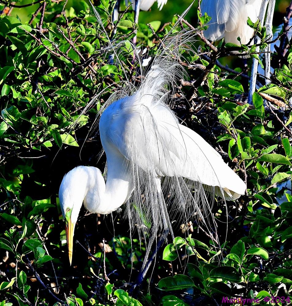 DSC_4150_001.JPG