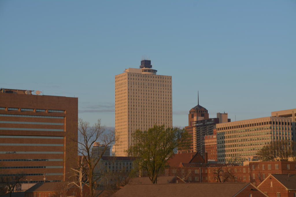 DSC_4162.jpg